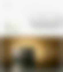 年龄/结构相关诱因
