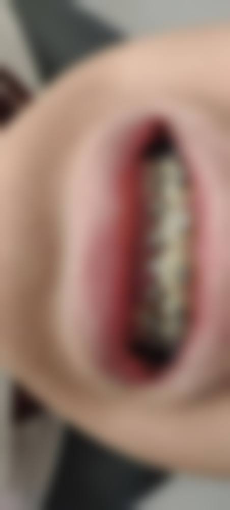 出行与预约指南