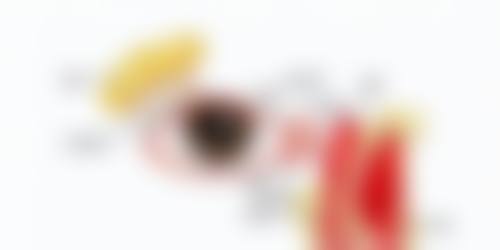 服务流程与患者保护:一站式服务,贴心周到