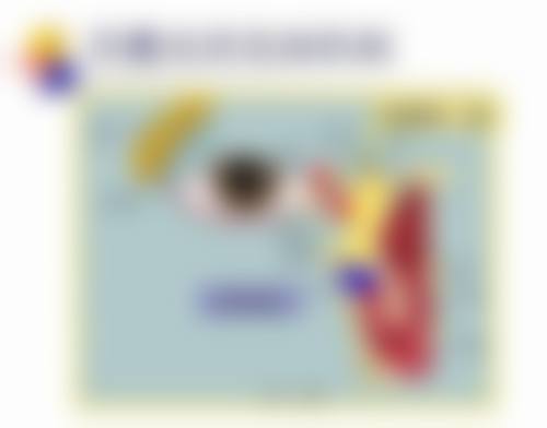 优惠活动详情——多项眼健康项目限时惠民