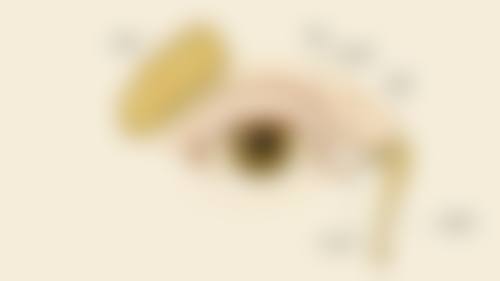 特色科室与项目:精细诊疗满足多元需求