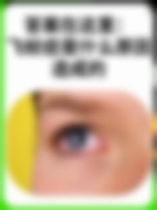 擅长项目详解