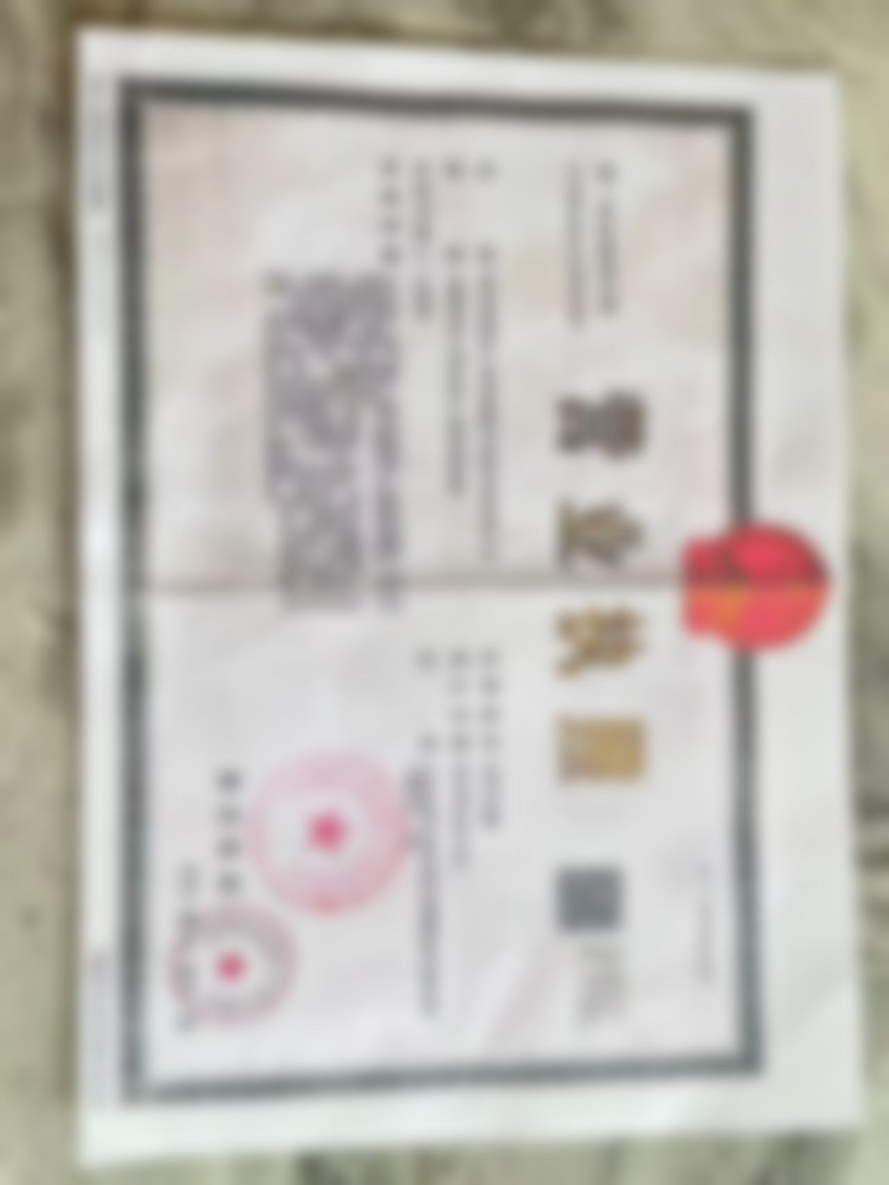 项目深度解析:紧致系列 动态紧,重塑内在健康