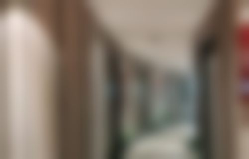 擅长项目详解