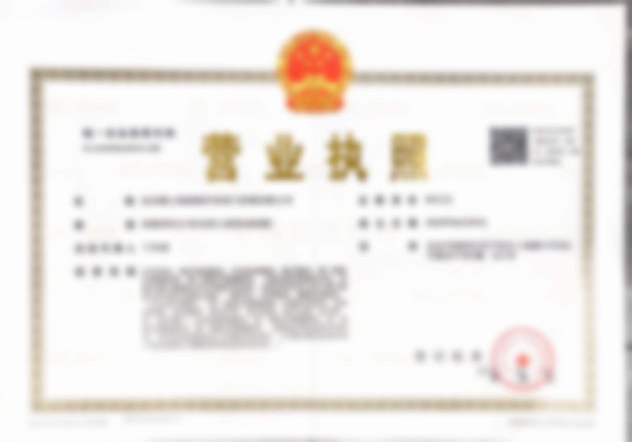 擅长项目详解