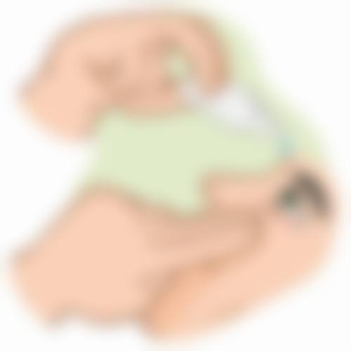 其他热门项目一览,满足多样需求
